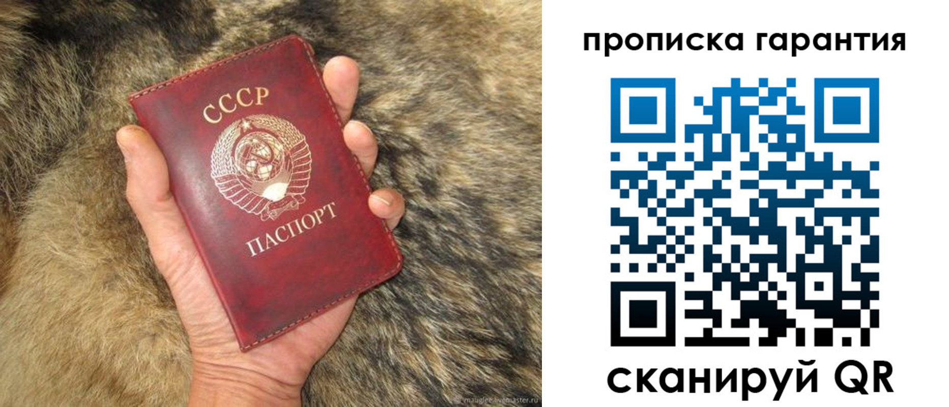 прописка паспорт в Гулькевичах